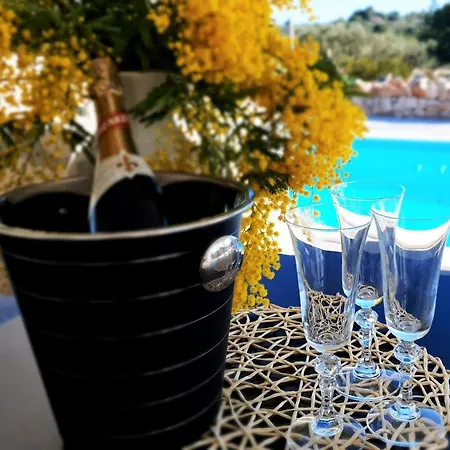 Anas Lagoon House With Pool At Azure Villa Mali Drvenik